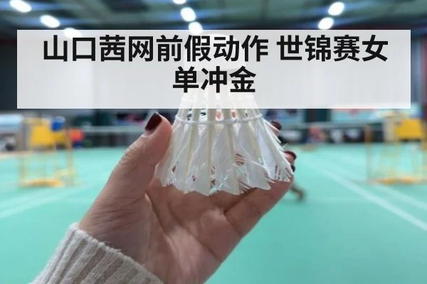 山口茜网前假动作 世锦赛女单冲金